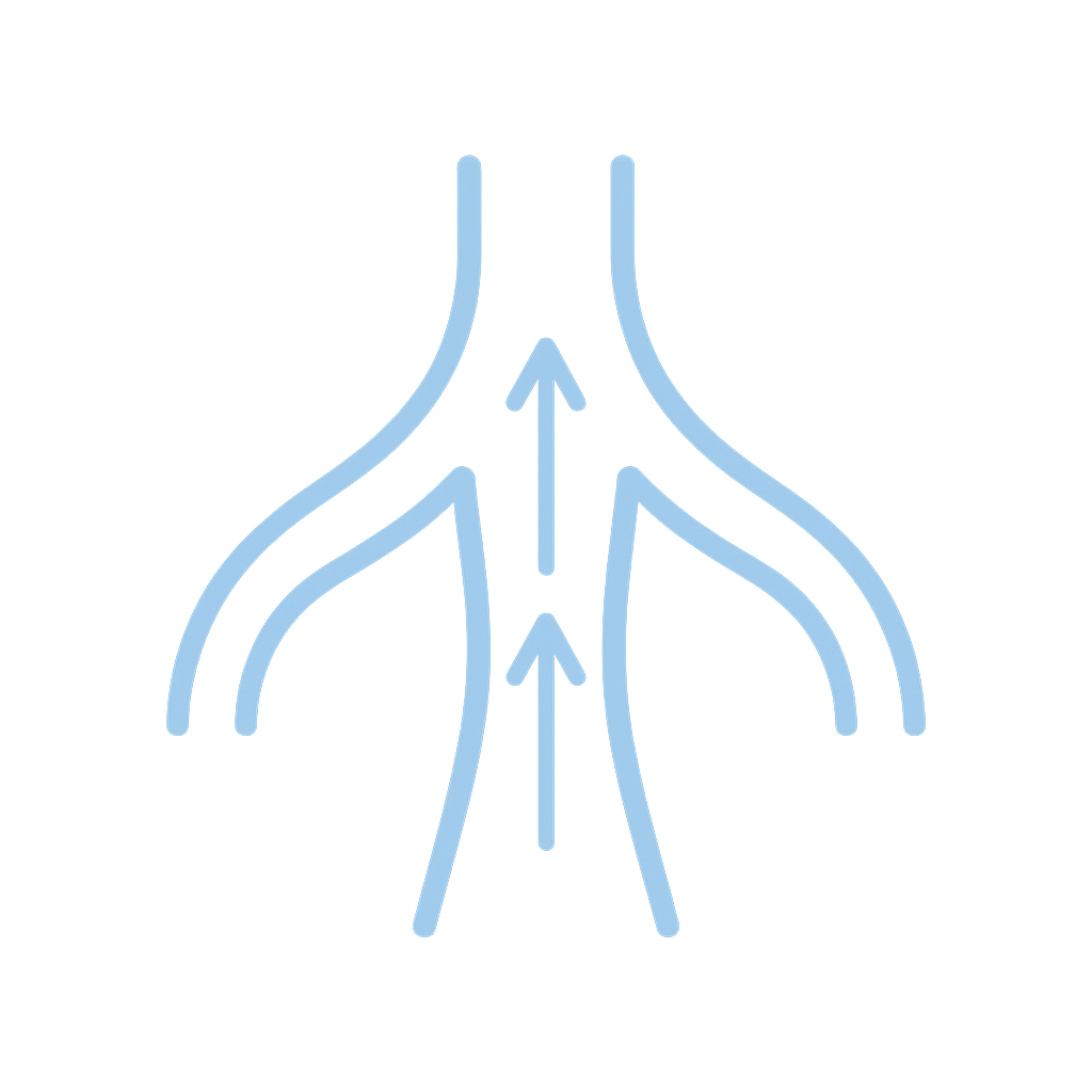 microcirculacion